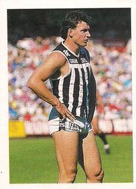 1991 Select AFL Stickers #19 Bruce Abernethy Front